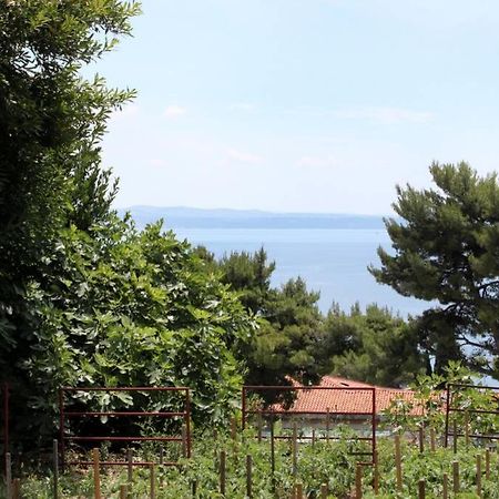Apartman Buki **** Split Dış mekan fotoğraf