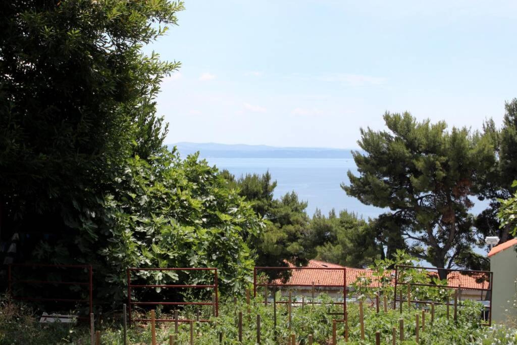 Apartman Buki **** Split Dış mekan fotoğraf