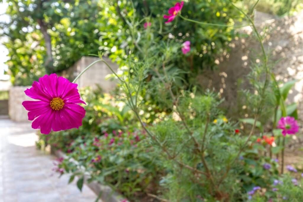 Apartman Buki **** Split Dış mekan fotoğraf